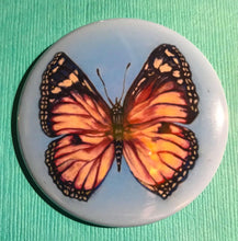 Pink Butterfly Pin/Magnet - The Butterfrog