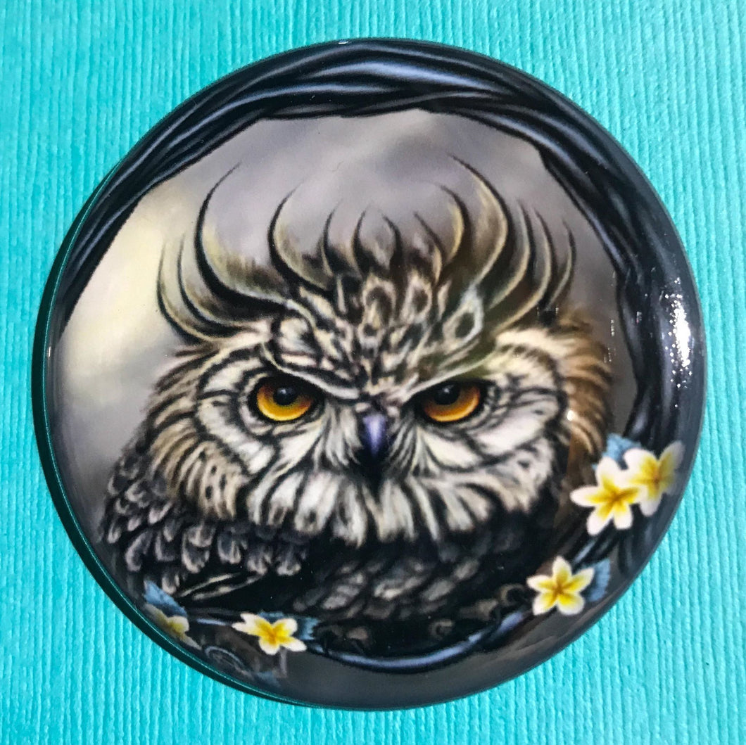 Little Owl Pin/Magnet - The Butterfrog