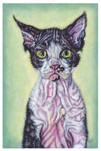 Devon Rex Luster Print