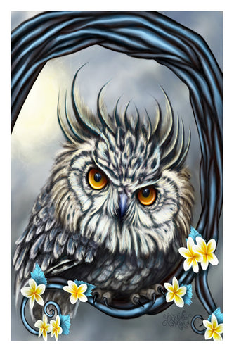 Little Owl Luster Print