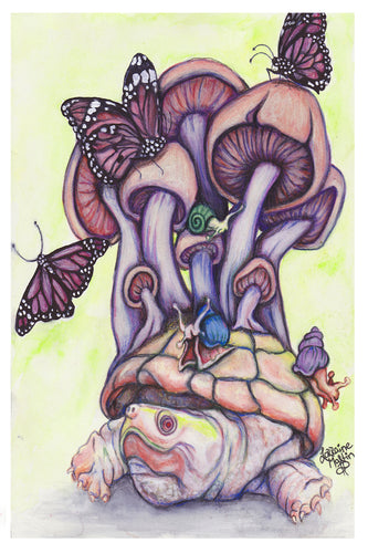 Mushroom Turtle Luster Print