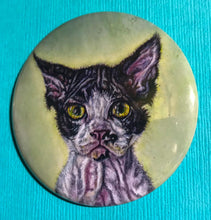 Devon Rex Pin/Magnet - The Butterfrog