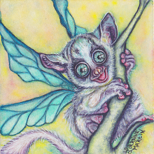 Bush Baby Fairy Giclee Canvas Print - The Butterfrog