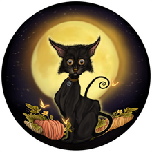 Fall Festival Kitty Pin/Magnet