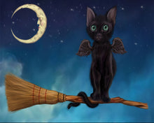 Star Shyne On Broom Giclee Canvas Prints - The Butterfrog