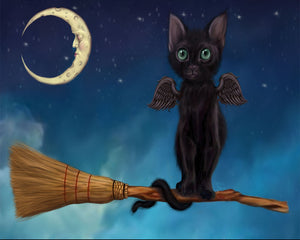 Star Shyne On Broom Giclee Canvas Prints - The Butterfrog