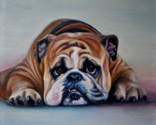 Bulldog Luster Print