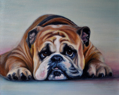 Bull Dog Giclee Canvas Prints - The Butterfrog